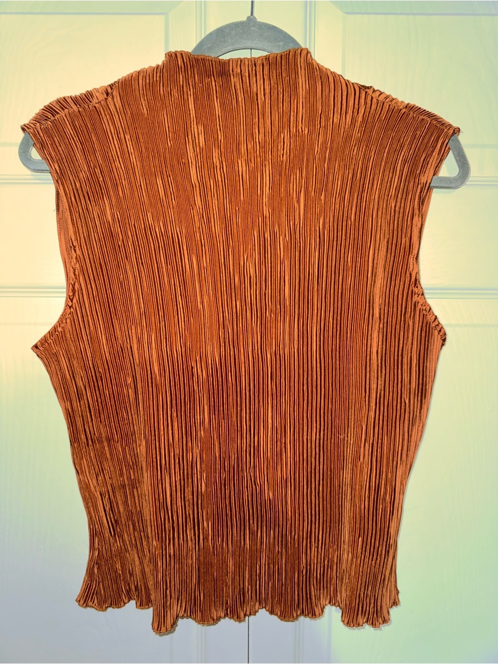 Nordstrom Umber Crinkled Sleeveless Tank